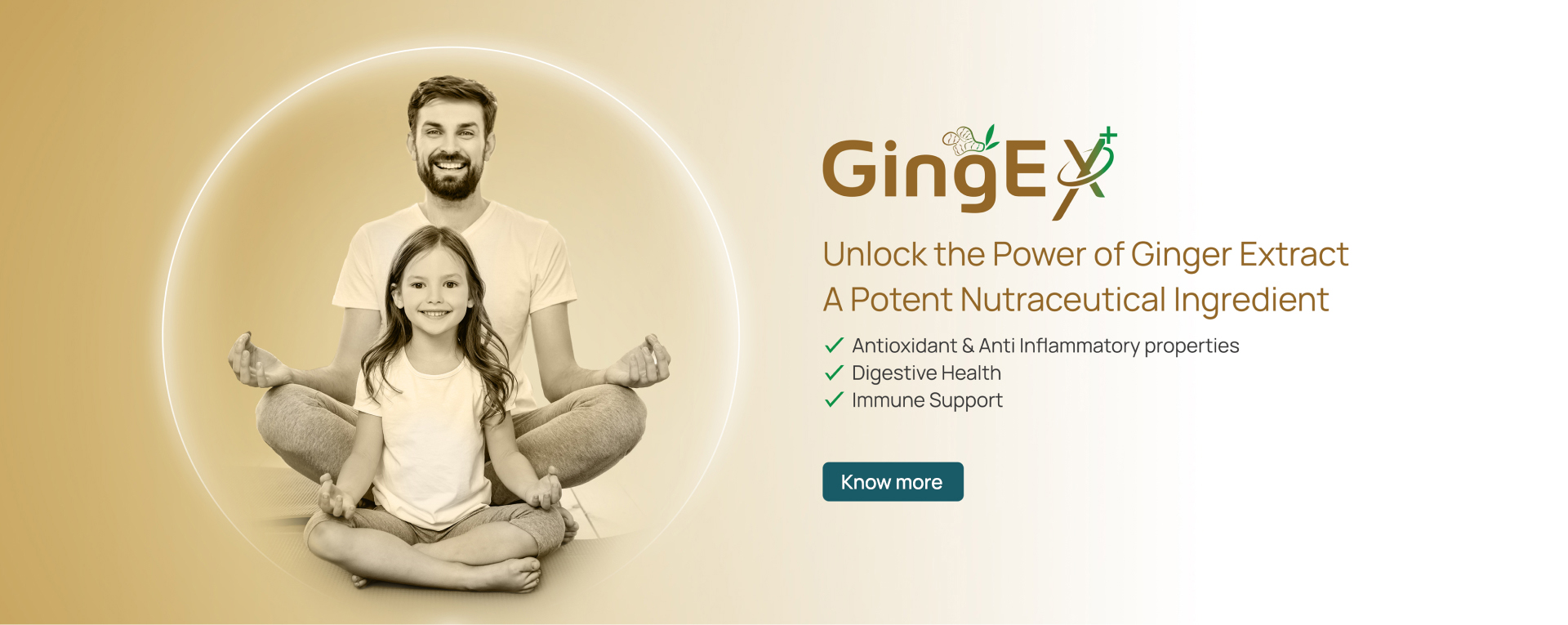 ginger extract